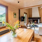 Moderne Avec Cheminee Et Animaux Bienvenus Proche De Gerardmer - Fr-1-589-778 *