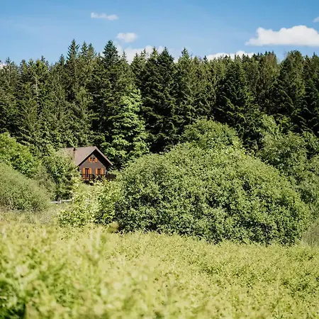 Moderne Avec Cheminee Et Animaux Bienvenus Proche De Gerardmer - Fr-1-589-778 Εξοχικό σπίτι *