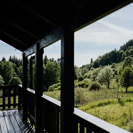 Moderne Avec Cheminee Et Animaux Bienvenus Proche De Gerardmer - Fr-1-589-778 Sapois (Vosges)
