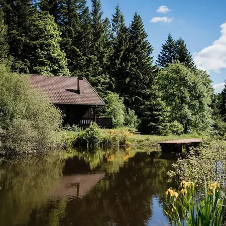 Moderne Avec Cheminee Et Animaux Bienvenus Proche De Gerardmer - Fr-1-589-778 Εξοχικό σπίτι *