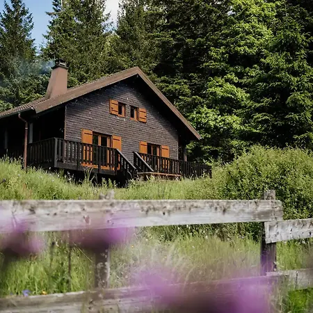 Moderne Avec Cheminee Et Animaux Bienvenus Proche De Gerardmer - Fr-1-589-778 Sapois (Vosges)