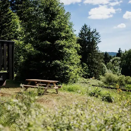Moderne Avec Cheminee Et Animaux Bienvenus Proche De Gerardmer - Fr-1-589-778 * Sapois (Vosges)