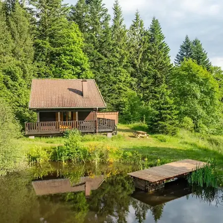 Moderne Avec Cheminee Et Animaux Bienvenus Proche De Gerardmer - Fr-1-589-778 בית נופש