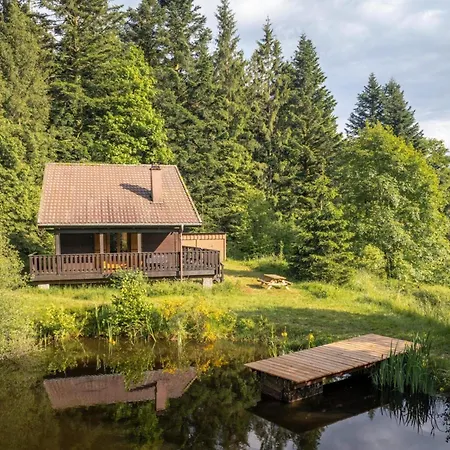 Moderne Avec Cheminee Et Animaux Bienvenus Proche De Gerardmer - Fr-1-589-778 Sapois (Vosges)