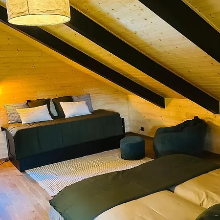 Moderne Avec Cheminee Et Animaux Bienvenus Proche De Gerardmer - Fr-1-589-778 בית נופש *