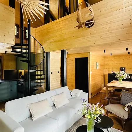 Moderne Avec Cheminee Et Animaux Bienvenus Proche De Gerardmer - Fr-1-589-778