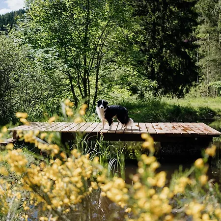 Εξοχικό σπίτι Moderne Avec Cheminee Et Animaux Bienvenus Proche De Gerardmer - Fr-1-589-778 *