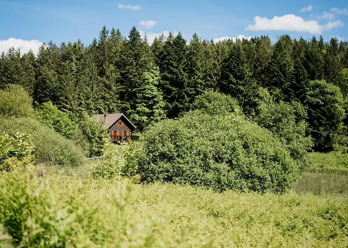 Moderne Avec Cheminee Et Animaux Bienvenus Proche De Gerardmer - Fr-1-589-778 度假居 *