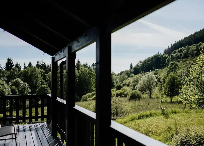 Moderne Avec Cheminee Et Animaux Bienvenus Proche De Gerardmer - Fr-1-589-778 Sapois (Vosges)