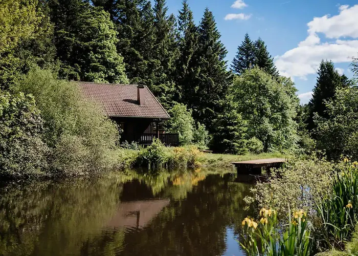 Moderne Avec Cheminee Et Animaux Bienvenus Proche De Gerardmer - Fr-1-589-778 度假居 *