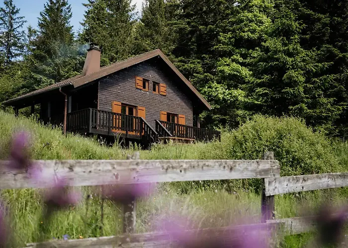 Moderne Avec Cheminee Et Animaux Bienvenus Proche De Gerardmer - Fr-1-589-778 Sapois (Vosges)