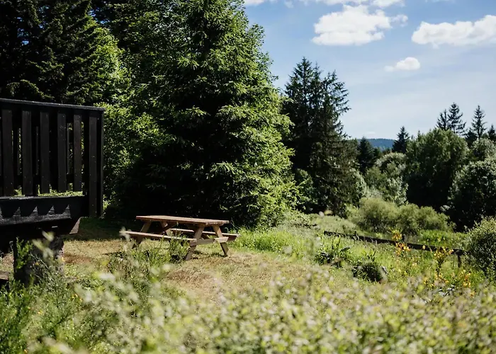 Moderne Avec Cheminee Et Animaux Bienvenus Proche De Gerardmer - Fr-1-589-778 * Sapois (Vosges)