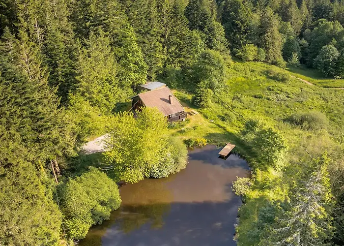 度假居 Moderne Avec Cheminee Et Animaux Bienvenus Proche De Gerardmer - Fr-1-589-778 *