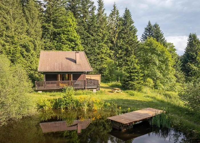 Moderne Avec Cheminee Et Animaux Bienvenus Proche De Gerardmer - Fr-1-589-778 Sapois (Vosges)