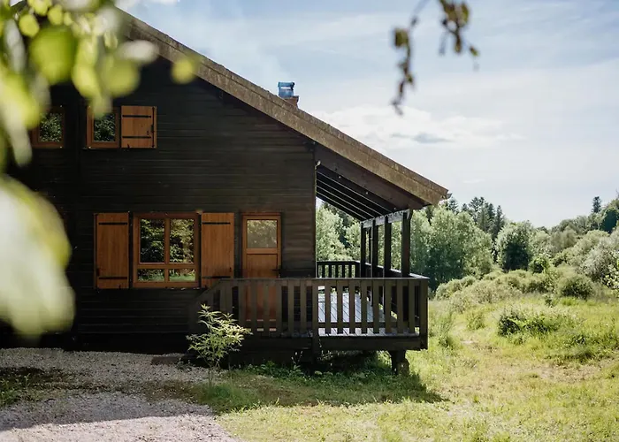 Moderne Avec Cheminee Et Animaux Bienvenus Proche De Gerardmer - Fr-1-589-778 度假居