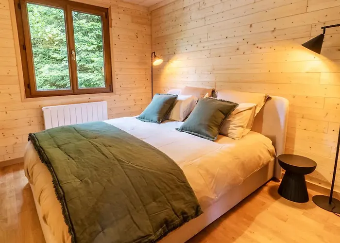 Moderne Avec Cheminee Et Animaux Bienvenus Proche De Gerardmer - Fr-1-589-778 度假居