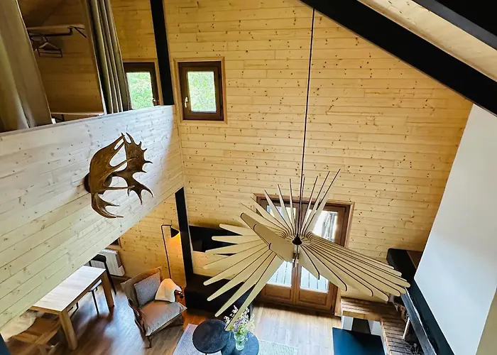 Moderne Avec Cheminee Et Animaux Bienvenus Proche De Gerardmer - Fr-1-589-778 Sapois (Vosges)