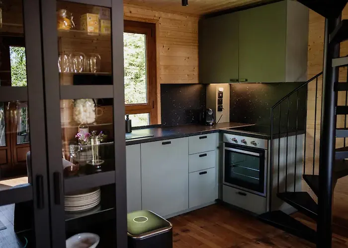 Moderne Avec Cheminee Et Animaux Bienvenus Proche De Gerardmer - Fr-1-589-778 度假居