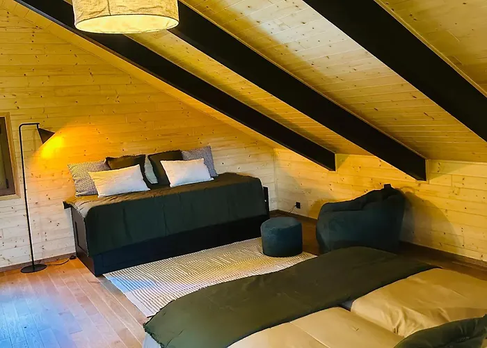 Moderne Avec Cheminee Et Animaux Bienvenus Proche De Gerardmer - Fr-1-589-778 度假居 *