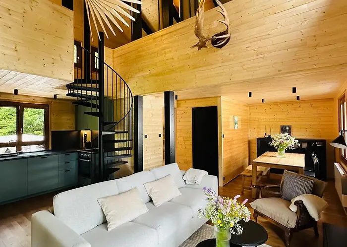 Moderne Avec Cheminee Et Animaux Bienvenus Proche De Gerardmer - Fr-1-589-778