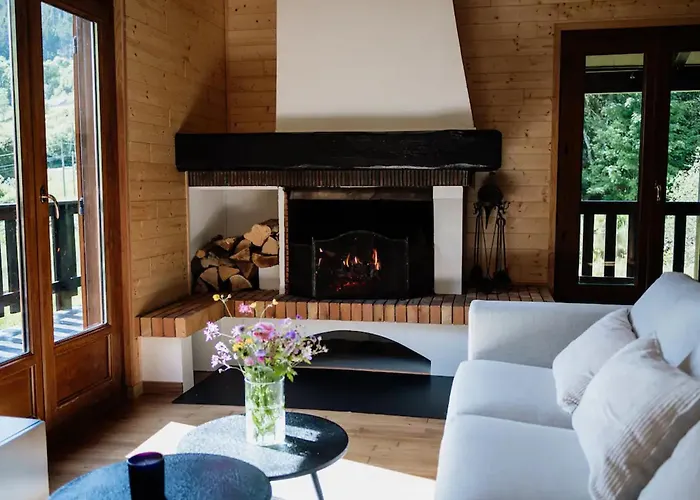 Moderne Avec Cheminee Et Animaux Bienvenus Proche De Gerardmer - Fr-1-589-778 度假居