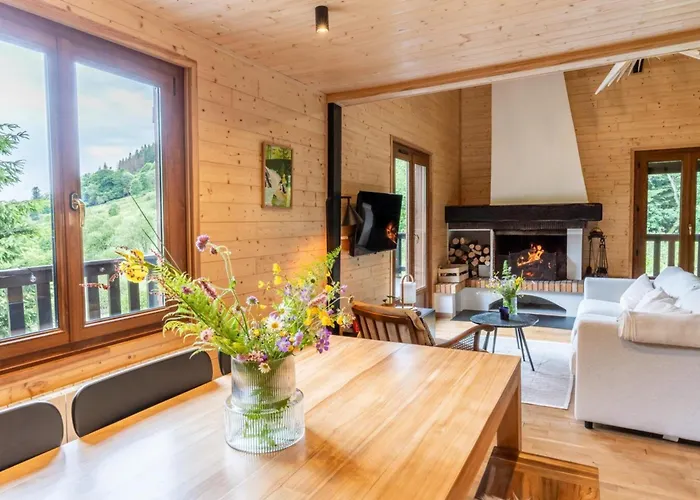 Moderne Avec Cheminee Et Animaux Bienvenus Proche De Gerardmer - Fr-1-589-778 *