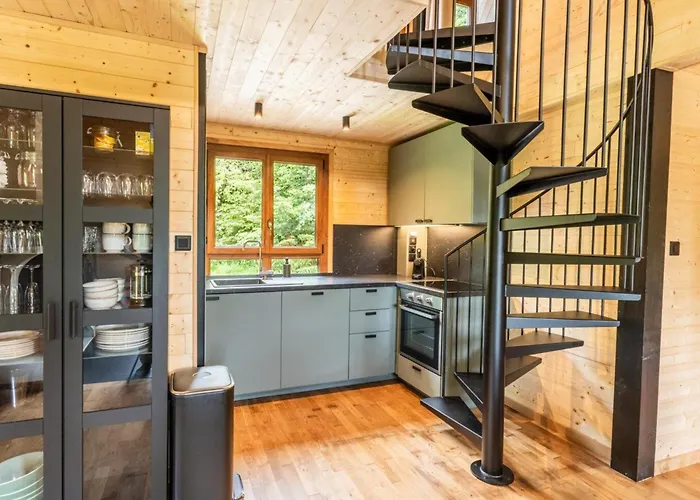 Moderne Avec Cheminee Et Animaux Bienvenus Proche De Gerardmer - Fr-1-589-778 度假居